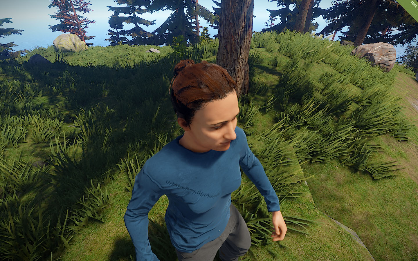 Rust_DevBlog_187_23.jpg