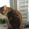 Timofei_564