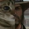 SteveCat'SC